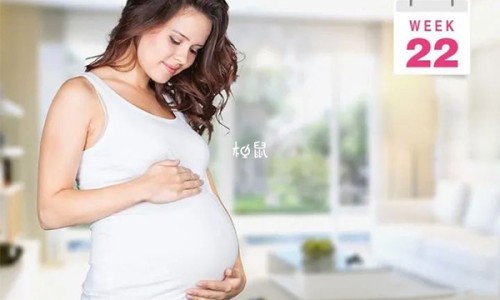 【豆角米饭怎么做有营养价值呢】豆角米饭怎么做有营养价值又好吃 - 豆角米饭怎么做有营养价值网
